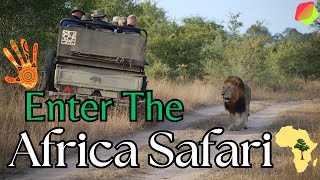 What to Expect on an African Safari When Taking a Tour [upl. by Nylirem778]