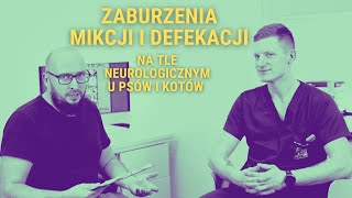 Problemy z oddawaniem moczu i kału u psów na tle neurologicznym [upl. by Flora]