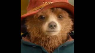 Paddington editedit paddington paddingtonbear London movie staywithme [upl. by Ynner]