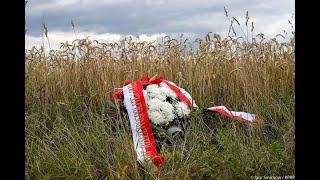 81st Anniversary of the Volhynia Tragedy Remembering the Massacres of Poles [upl. by Jerrie]