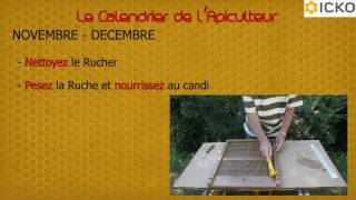 Apiculture  calendrier apicole septembre à février  Truffaut [upl. by Lara]