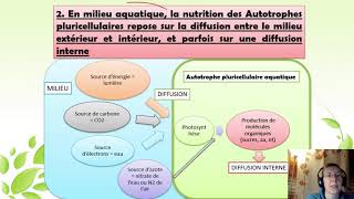 O53 Photosynthèse des algues [upl. by Aisnetroh]