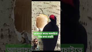 আল্লাহর কাছে সবচাইতে প্রিয় কথা চারটি shorts youtubeshorts islam [upl. by Onitselec]