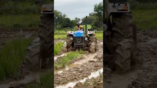 Powertrac 4wd tractor shorts trending tractor [upl. by Dodge]