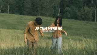 Jo Tum Mere Ho Slowed  Reverb Anuv Jain  Ameen Fahim [upl. by Adiv686]