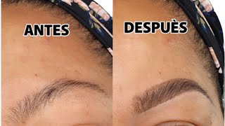 TUTORIAL DE CEJAS PASO A PASO Como definir y laminar las cejas [upl. by Reifinnej]