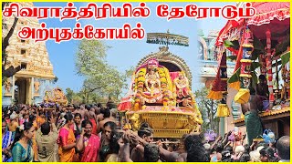 சிவராத்திரியில் தேரோடும் அற்புதக் கோயில்  Keerimalai sivan kovil thiruvizha  jaffna  Ceylon Jodi [upl. by Eelorac738]