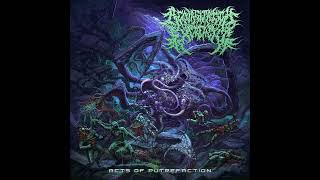 Regurgitation Excrement  Acts Of Putrefaction Full Album [upl. by Sirhc]