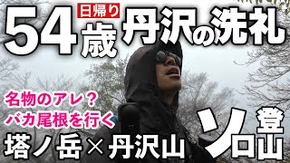 【登山】丹沢山と塔ノ岳 54歳日帰り登山 ソロでバカ尾根を行く [upl. by Alekin874]