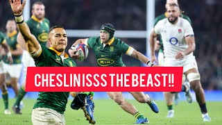 Cheslin Kolbe No hard work goes unnoticed after he helped Springboks beat the England [upl. by Monarski988]