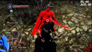 Dark Souls 2 Beta  High Agility PvP Dual Swords and My Thoughts [upl. by Marnia]