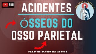 Osso Parietal ACIDENTES ÓSSEOS Quais são❗❓DESCUBRA AQUI❗ Anatomia Prática [upl. by Rimidalb]