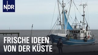 Halbinsel Butjadingen Unterwegs zwischen Jade und Weser  Nordseereport  NDR Doku [upl. by Revned]