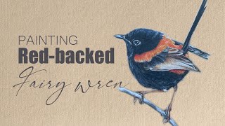 Redbacked Fairy wren  Coloured Pencils Drawing  By Rajan Singh 🐦 [upl. by Ilesara]