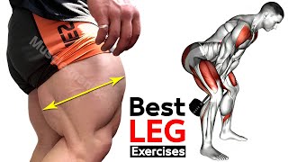 FULL Leg Workout  quadriceps  hamstring  thighs  glutes  Maniac Muscle [upl. by Breeze]