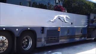 GREYHOUND PREVOST X345 BUS ARRIVAL with IDLE [upl. by Bradshaw140]