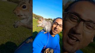 Katiya Karoon 🐿️😁 squirrel squirrellover bollywoodsongs [upl. by Mackenie]