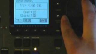 Pintech Alesis DM10 Settings Part II [upl. by Aivilo797]