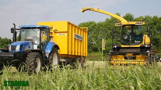 HookLoada anhänger und LKW mit Hakensystem ist efficiente Grasssilageernte [upl. by Ainex]