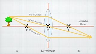 Linsen in der Optik [upl. by Dawaj]