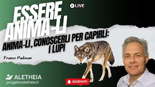 Essere Animali  quotI Lupiquot di Franco Padovana con Gabriele accornero [upl. by Etnoel]