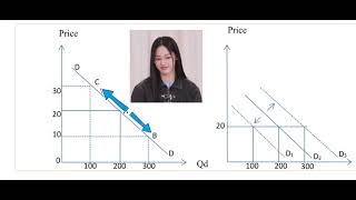 quotChange in Quantity Demanded vs Change in Demand  Key Differences Explained  Economics 101quot [upl. by Jae]