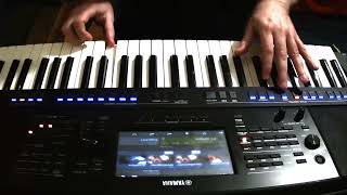 Red River Rock The VENTURES amp The SHADOWS на Yamaha psr sx 700 моя версия [upl. by Nasho676]