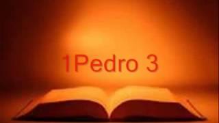 La Biblia Hablada  1 Pedro completo RV 1960 [upl. by Eleirbag]