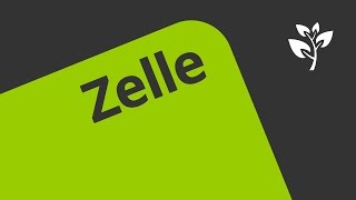 Zellen und Zellformen  Biologie  Cytologie [upl. by Daiz984]