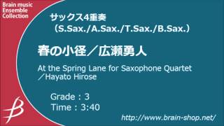 Sax4 春の小径広瀬勇人 At the Spring Lane by Hayato Hirose [upl. by Ahtennek]