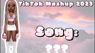 TikTok Mashup 2023 not clean song names included ☁️ 🪽🎧 [upl. by Yssirc]