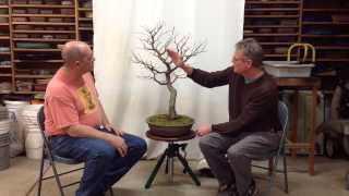 Development of Persian Parrotia with Arthur Joura  Part2 [upl. by Adnirem603]