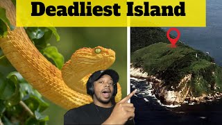 The LAST Island You’d Want to Visit Snake Island [upl. by Lezah]