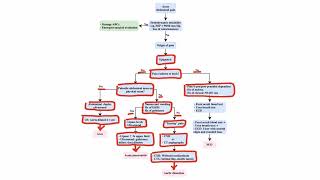 Abdominal Pain and Acute Abdomen  Pathophysiology  Right upper quadrant abdominal pain  part [upl. by Thordis]