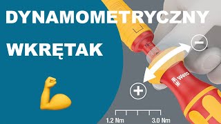 16częściowy zestaw wymiennych trzpieni VDE z rękojeścią dynamometryczną nastawną Wera 05135906001 [upl. by Onaimad]