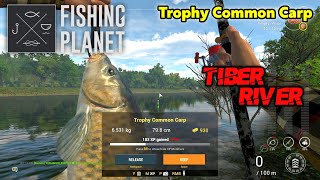 Trophy Common Carp Tiber River  Fishing Planet [upl. by Shay320]