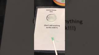 Lactase Enzyme Lactaid Dairy Relief Lab Part 2 [upl. by Coombs532]