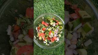 Kachumar Salad  Salad Bar Part 3 kachumbersalad saladbar viralvideo shadiwalasalad cooking [upl. by Atniuq]