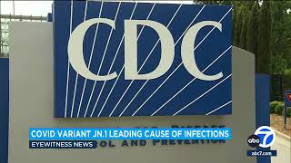 COVID JN1 variant now leading cause of infections in United States CDC says [upl. by Fadas992]