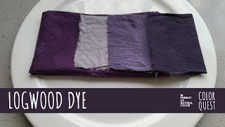 HOW TO MAKE NATURAL DYE WITH LOGWOOD  ORGANIC COLOR  PURPLE GRAY BLUE  IRON SHIFT  ALKALINE [upl. by Salvay]