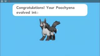 ROBLOX Pokemon Brick Bronze EVOLVING POOCHYENA [upl. by Annaeed636]