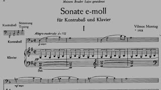 Vilmos Montag  Sonata in E minor for Double Bass and Piano [upl. by Engracia]