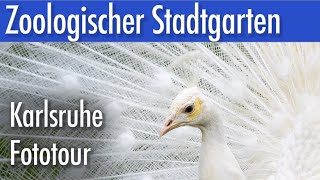 Zoologischer Stadtgarten Karlsruhe  Eine Fototour [upl. by Nessi]