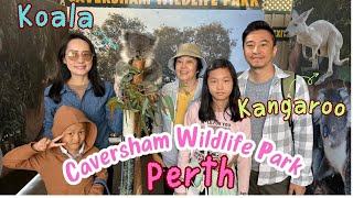 Day 7 Caversham Wildlife Park  Perth 伯斯 澳州 [upl. by Carmencita261]