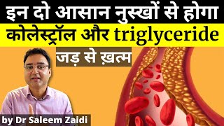 2 Most Effective Home Remedies For Cholesterol amp Triglyceride  कोलेस्ट्रॉल के लिए 2 घरेलु नुस्खे [upl. by Sueddaht]