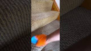 Stairs carpet cleaning carpet cleaning and brushing Mr Sofa Kinsale [upl. by August834]