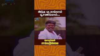 இந்த புடலங்காய் பூசணிக்காய்  Gopurangal Saivathillai Comedy  Vinu Chakravarthy  ytshorts [upl. by Franckot]