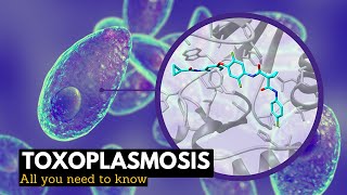 Toxoplasmosis What You Need To Know [upl. by Oniger]