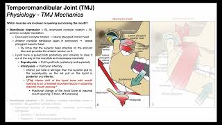 Temporomandibular Joint 😲  Biomechanics Part 22 [upl. by Rothberg412]