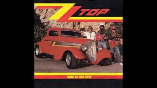 ZZ Top  Gimme all your lovin  EkaN DJ Edit [upl. by Enyedy]